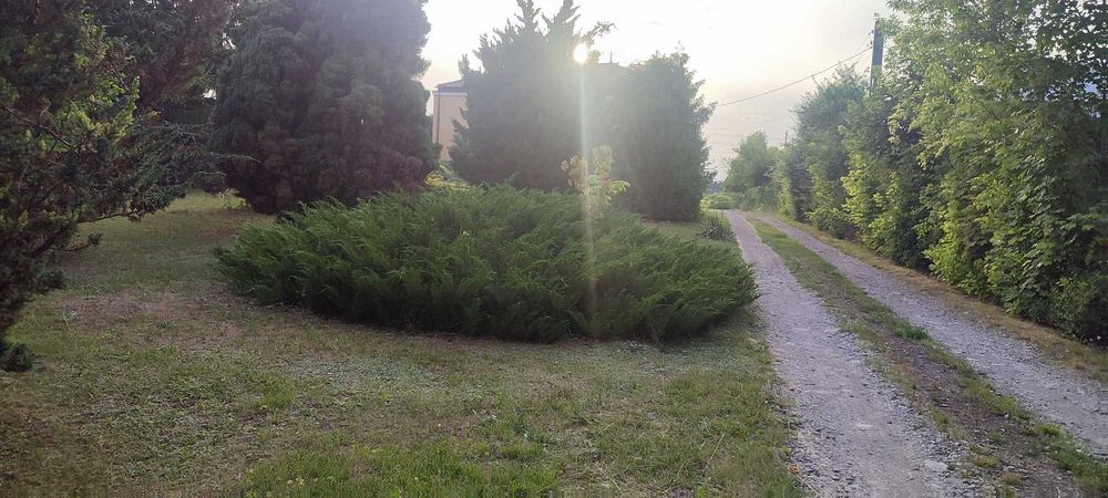 Sprzedam dom z działką