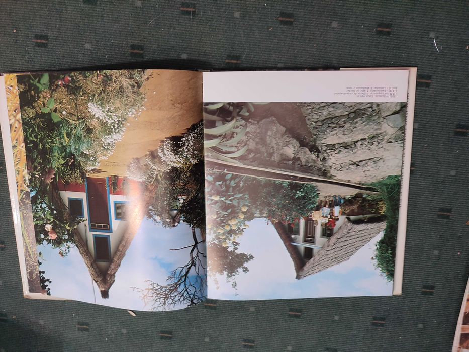 A Ilha da Madeira - Carlos Vitorino da Silva Barros