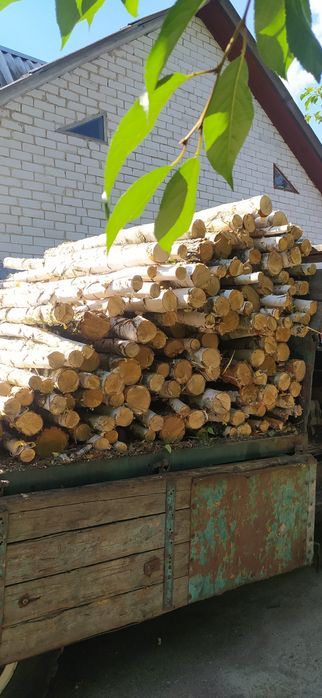 Продам ДРОВА маємо документи