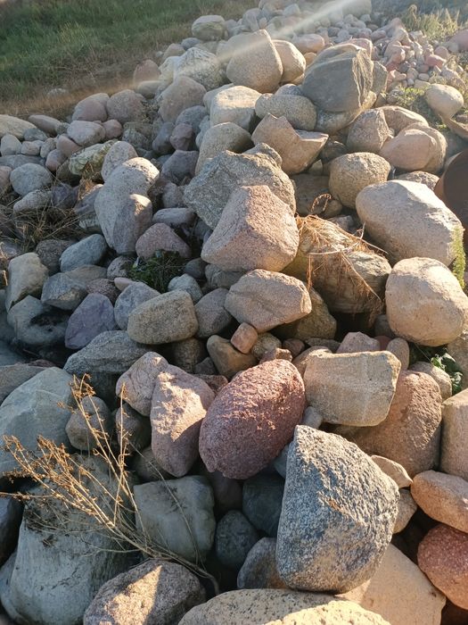 Kamień polny oddam za darmo