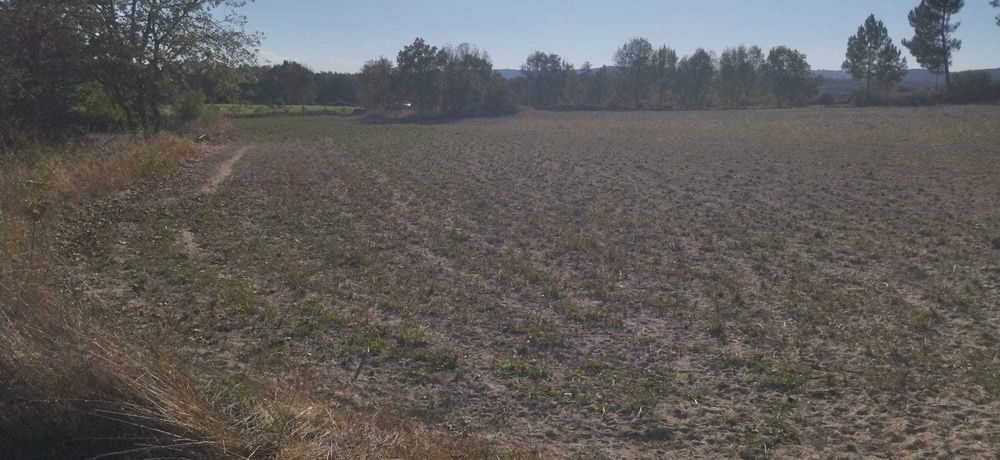 Terreno agricola