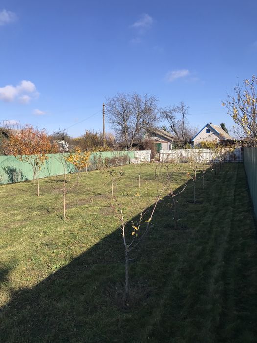 Фруктовий сад в ОЗОНІ