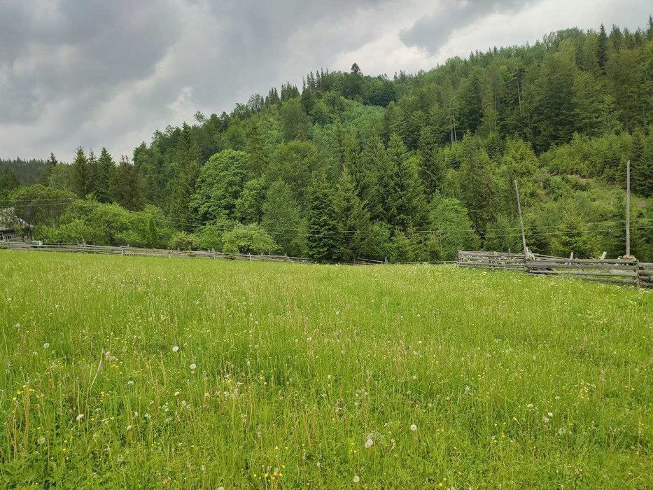 Продається земельна ділянка в серці Карпат ( Кривопільський перевал )