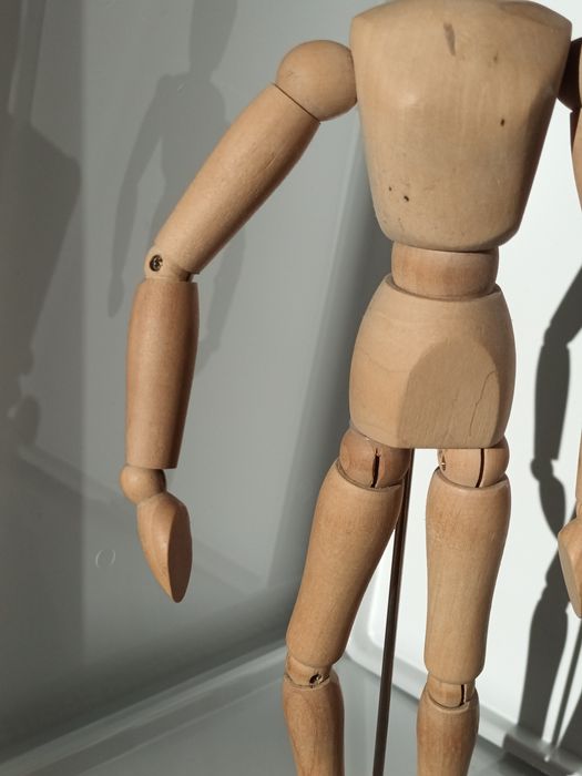 Modelo Anatómico de madeira