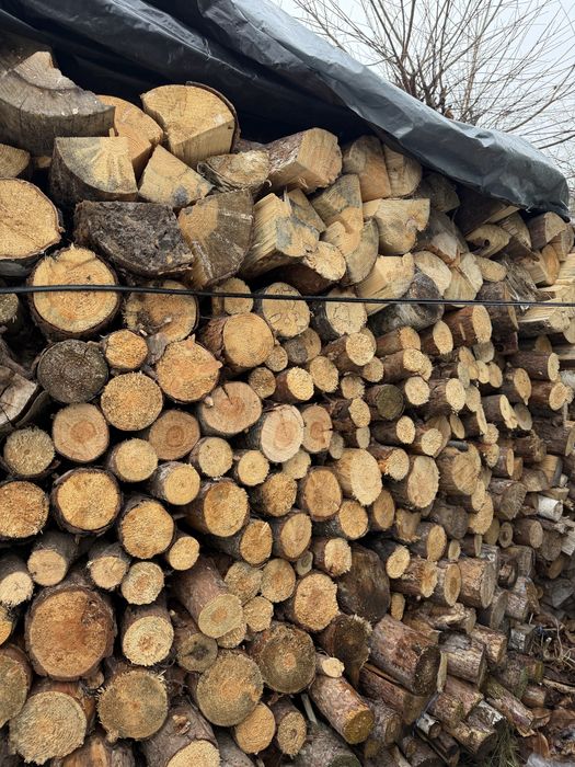 Trzylednie drewno opałowe