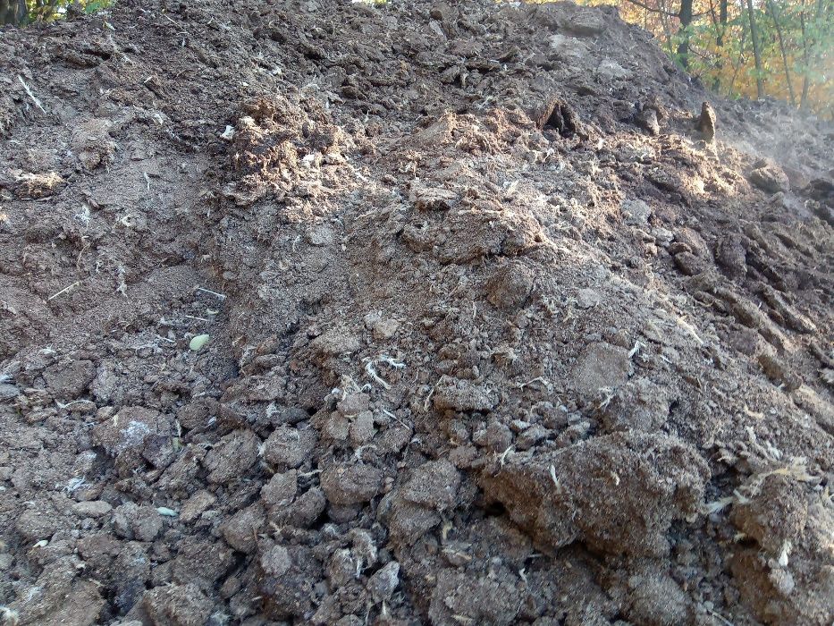 obornik spod kur brojlerów