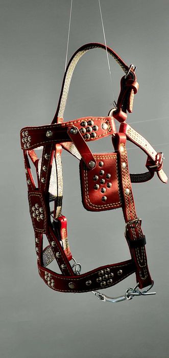 Оптом товари для коней