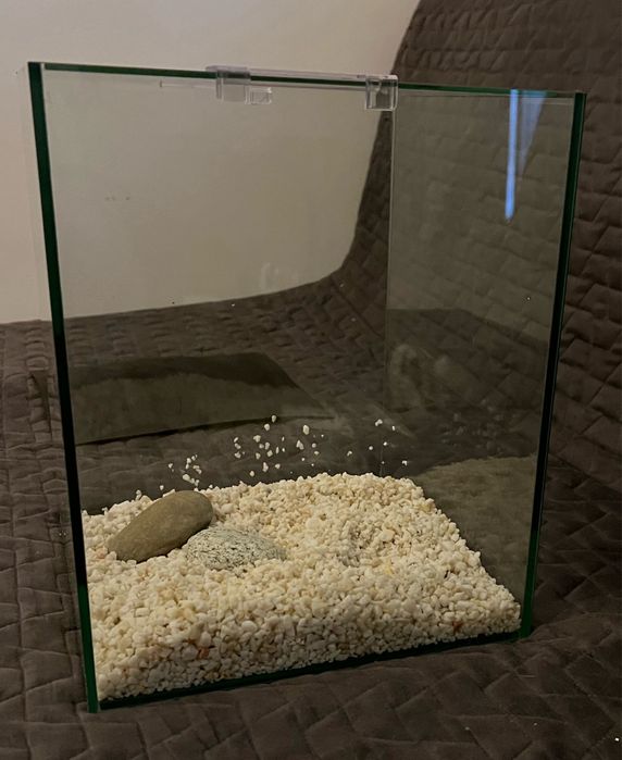 Aquário em vidro – design cúbico | 25 × 25 × 30 cm