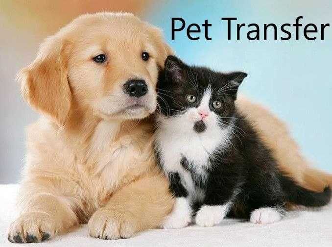 перевезення тварин. Чернігів. по Україні.