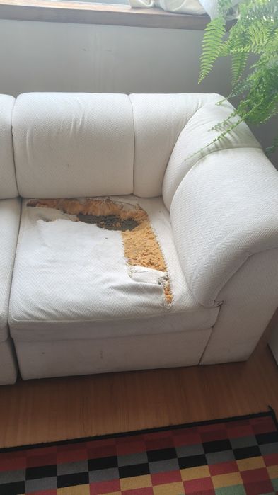 Dou sofá Altamira a quem vier buscar.