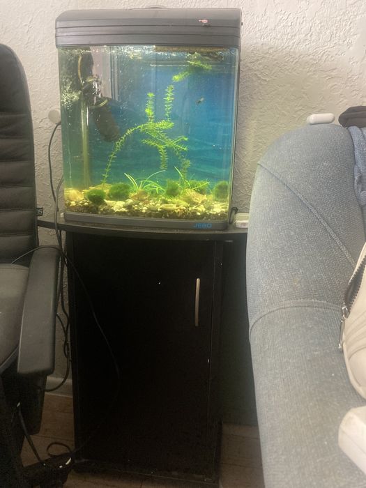 Продам Аквариум JEBO R 338