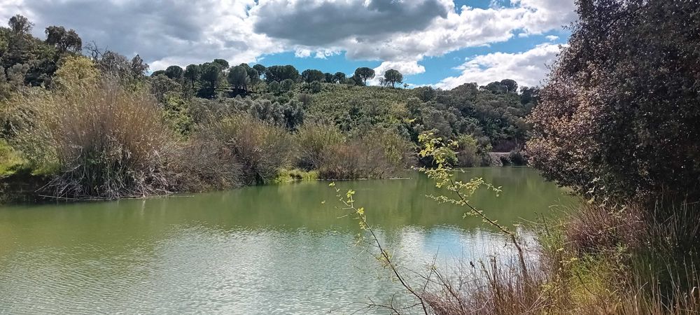 Oportunidade no Algarve! Terreno com ruina!