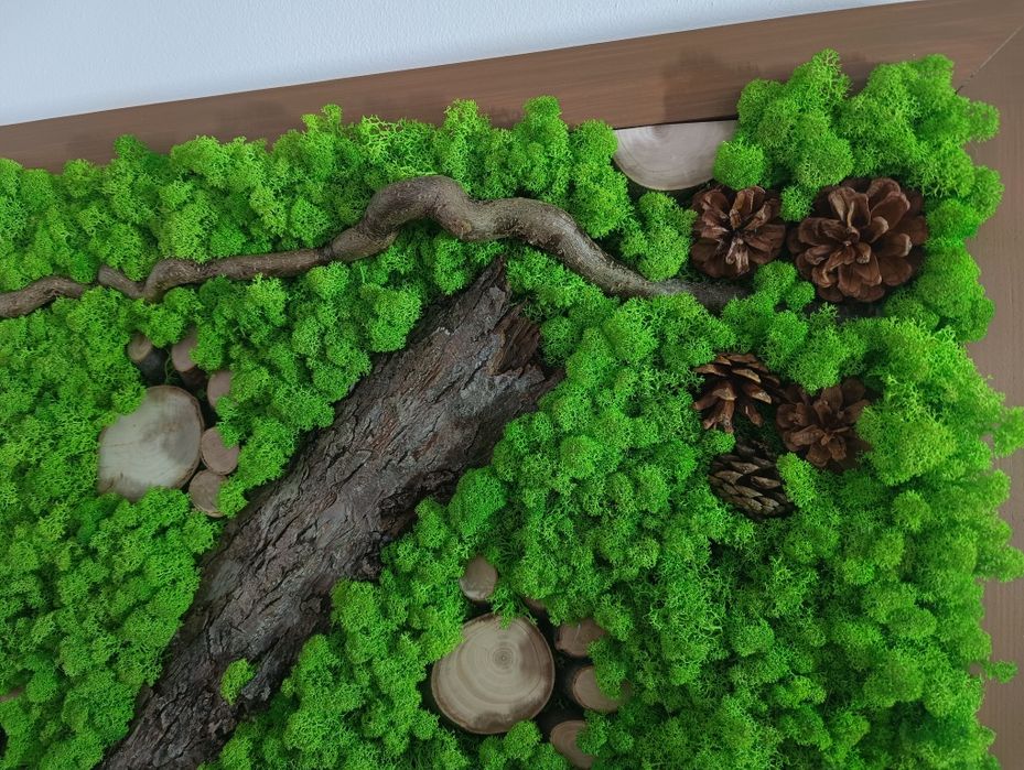 Obraz w drewnianej ramie 165x66 cm mech chrobotek