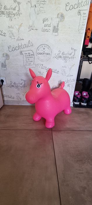 Дитячий стрибун Конячка