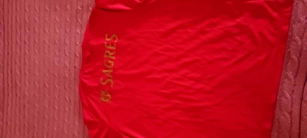 Camisolas Benfica