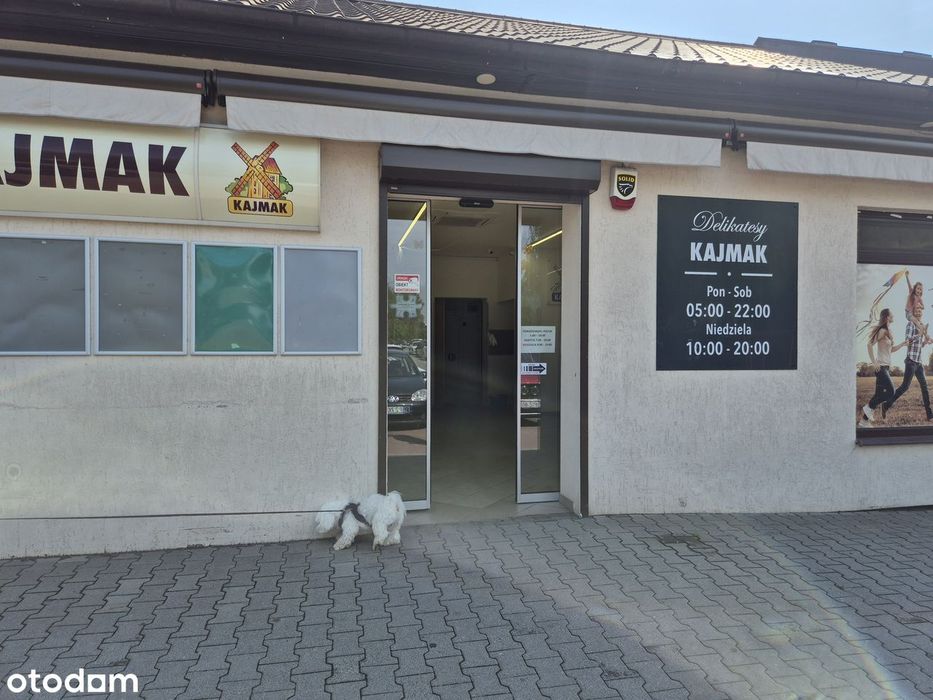 Zdjęcie 3