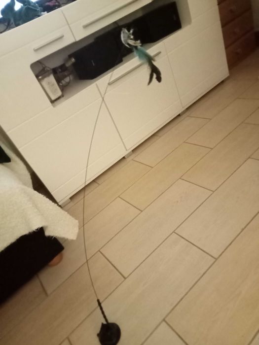2 zabawki dla kotka 30zl