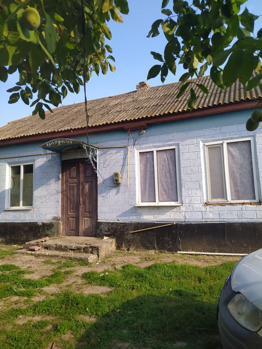 Будинок степова39