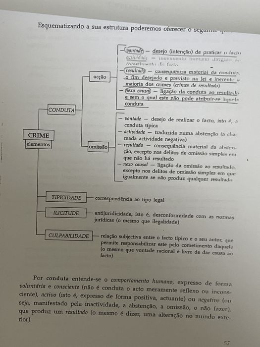 Nocoes elementais de direito penal