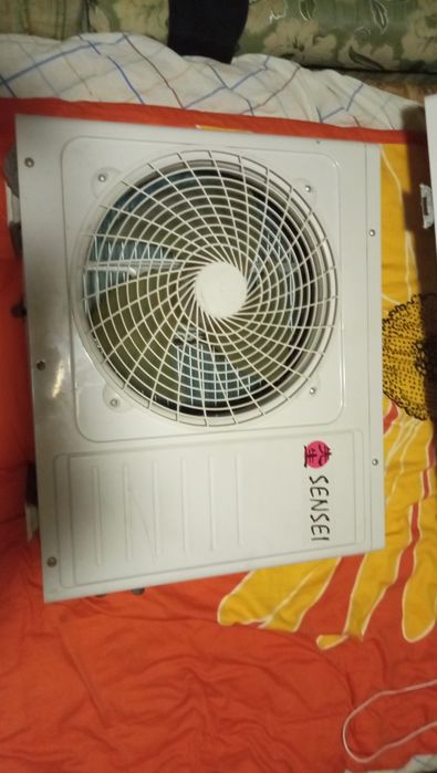 синсей кадецеонер