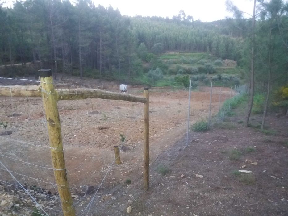 Vedações rede ovelheira e outras