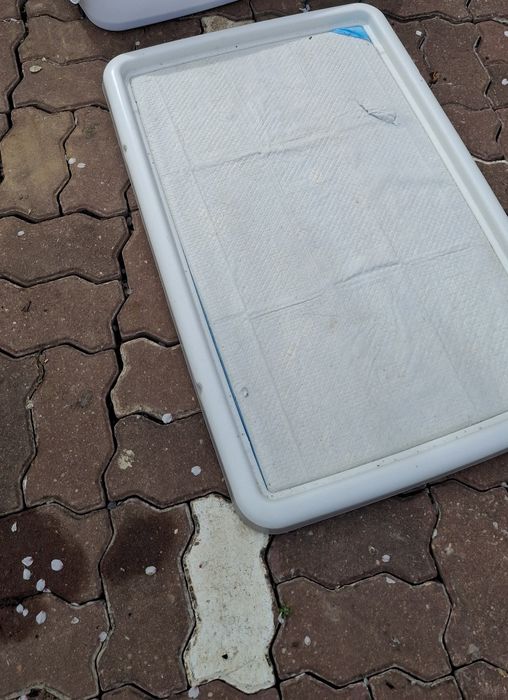 Caixa sanitária para animais