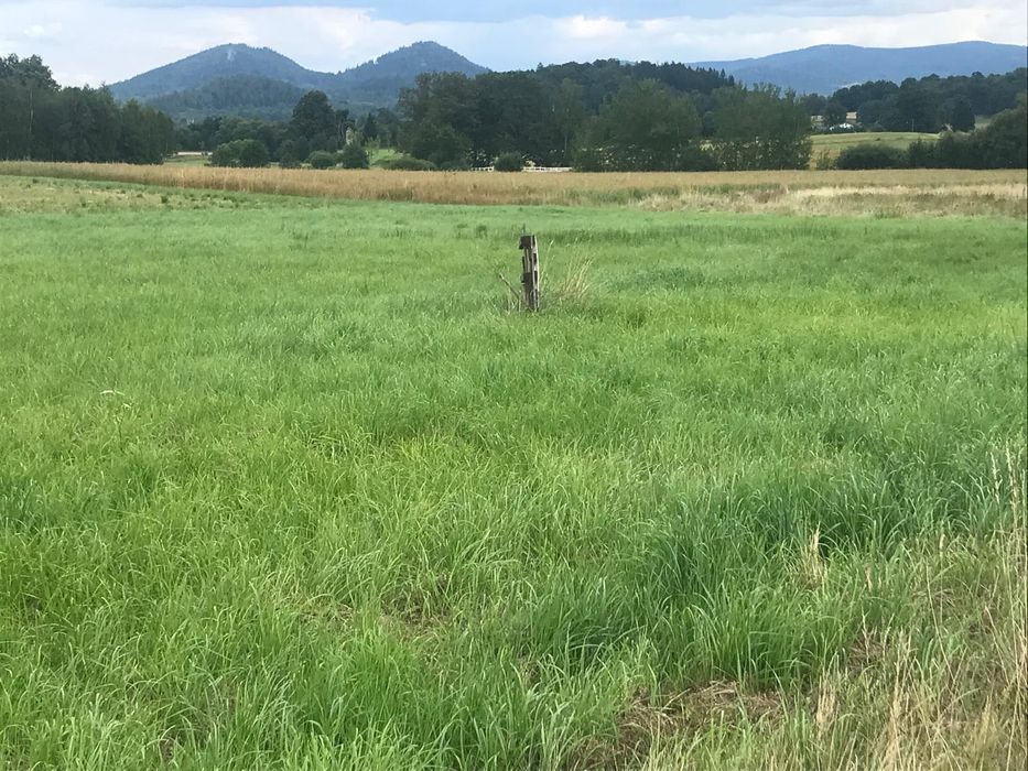 Sprzedam działki w Łomnicy 1000m