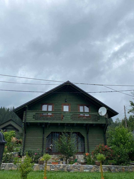 Котедж цвіт Папороті