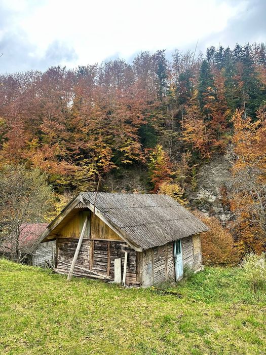 Продається земельна ділянка в Карпатах с.Виженка