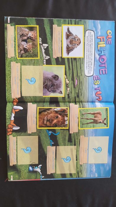 Caderneta - Amici - Animaizinhos