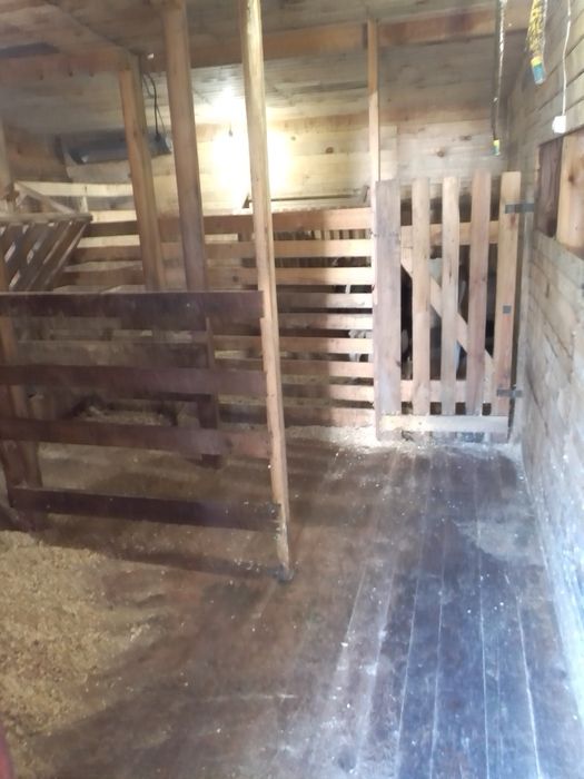 Молоко, творог, сливки, масло, згущенка з доставкою!