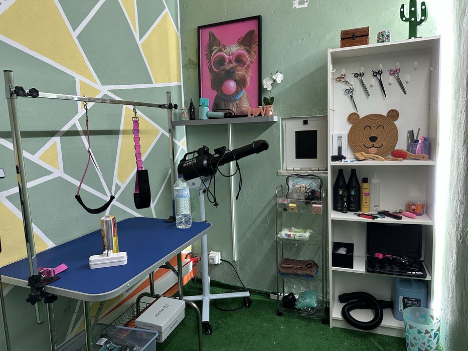 Banhos e serviços caninos