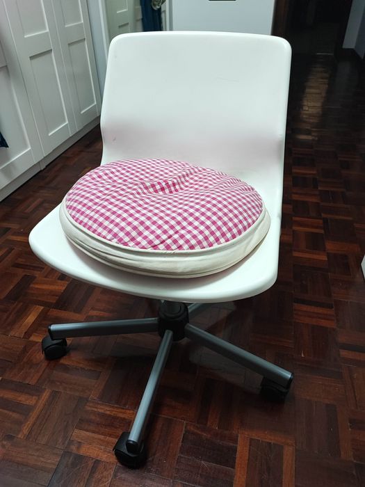 Cadeira com rodas + almofada