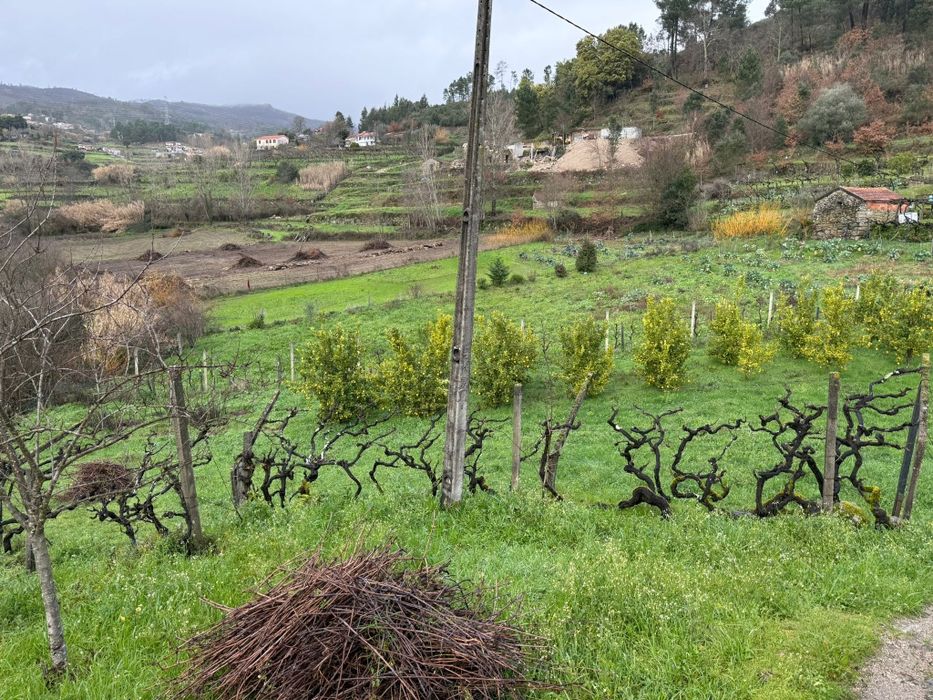 Quinta  6500 m2.