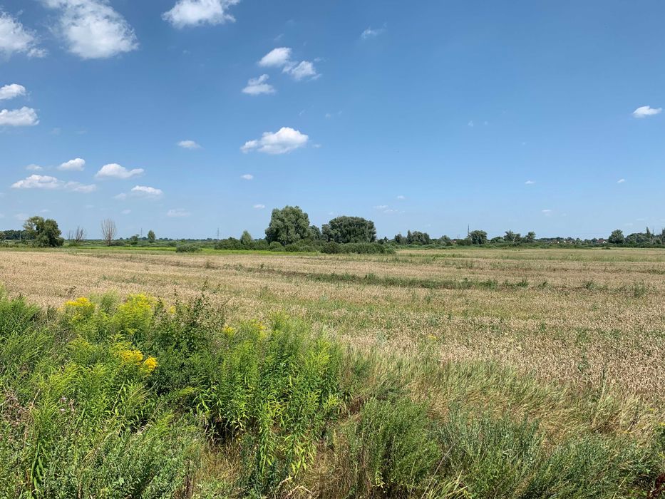 Участок 3 Га под коммерцию, бизнес, застройку, Требухов