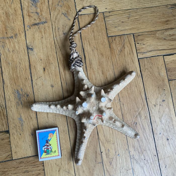 Морська зірка натуральна велика