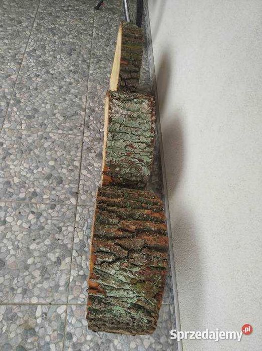 Dębowe plastry kręgi plaster dębowy drewna