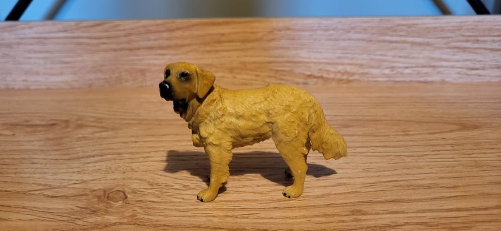 Procon collecta pies Golden retriver figurka model wycofany