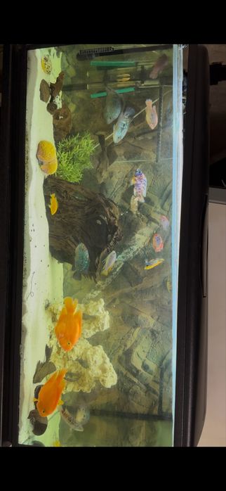 Акваріум 450л повний комплект: тумба, обладднання, декор +