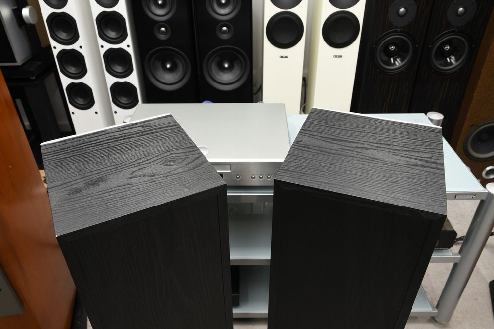 Polk Audio M20 Black - Kolumny podłogowe stereo Dynamic Balance