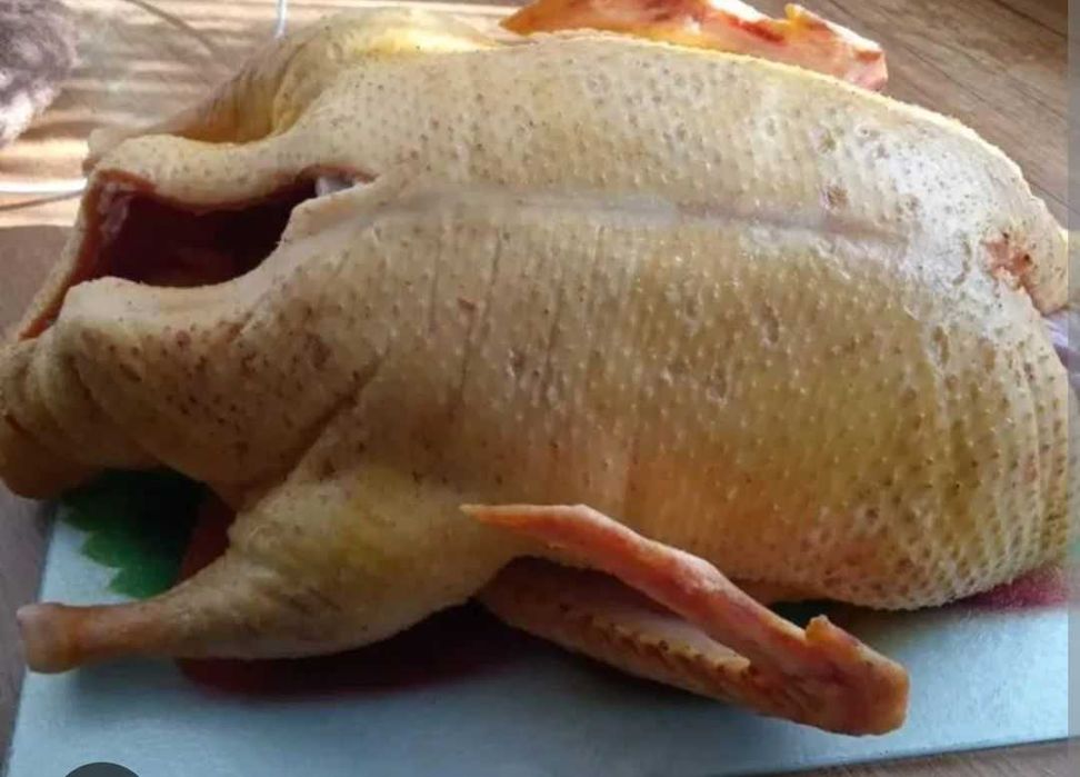 Tuszki Gęsi ekologicznej