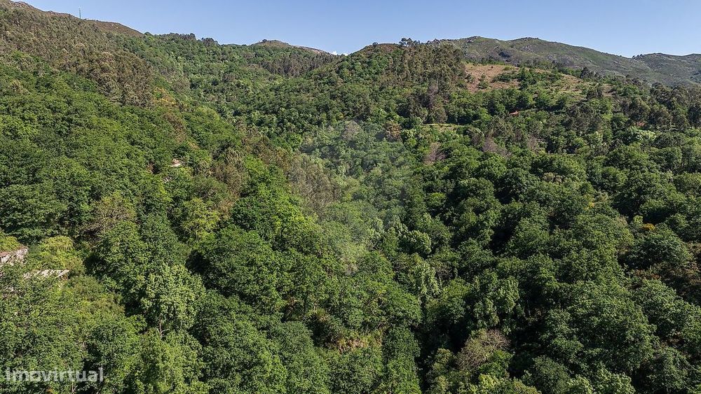 Terreno  para venda