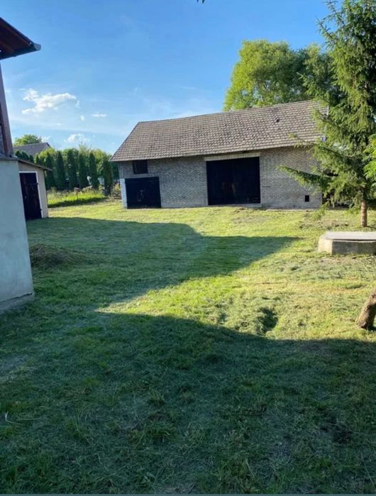 Zdjęcie 3