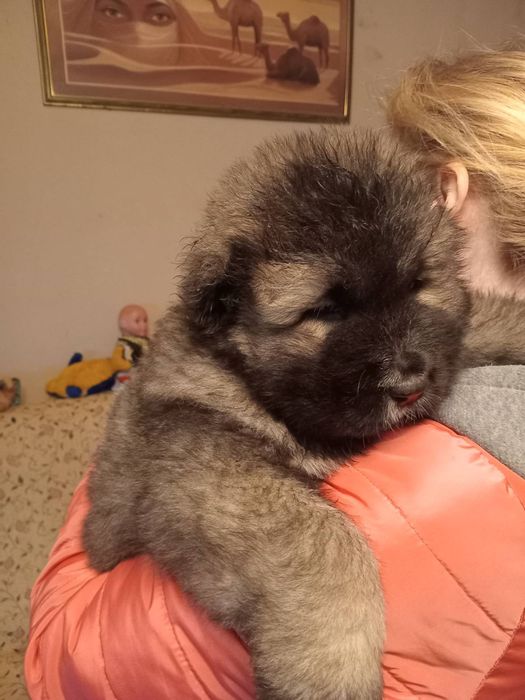 Маленькі монстри.