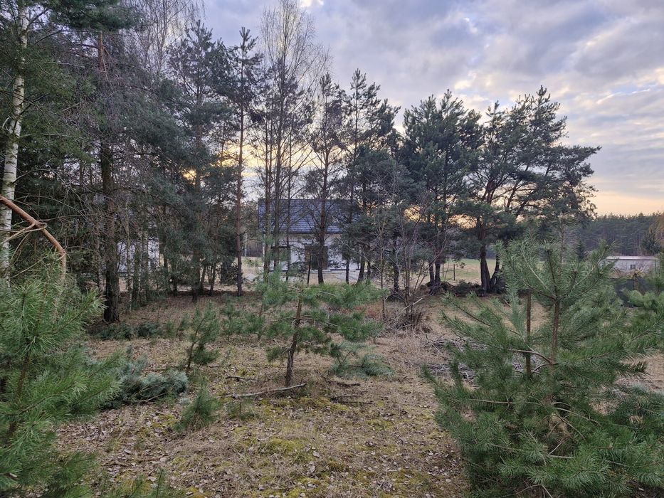 Działka budowlana Laski Małe/Laski Wielkie