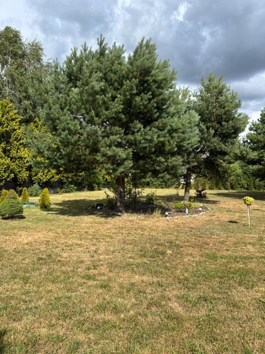 Działka 2105 m² na nowym osiedlu | Emilin, Wola Mikorska-Zalesna