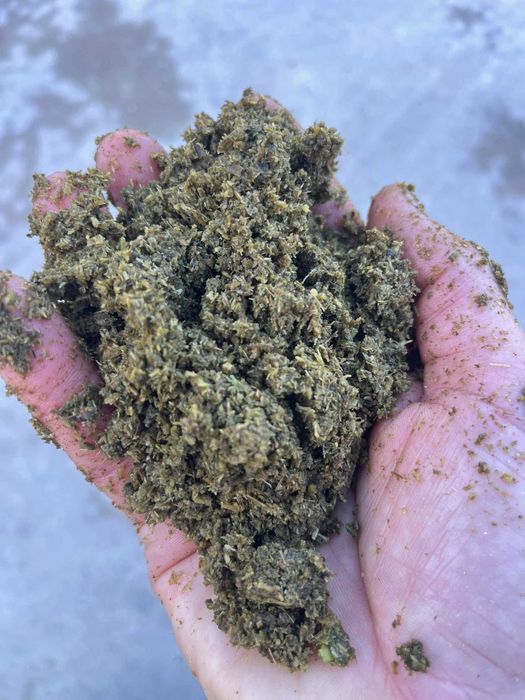 Nutrição Animal Superior - Luzerna