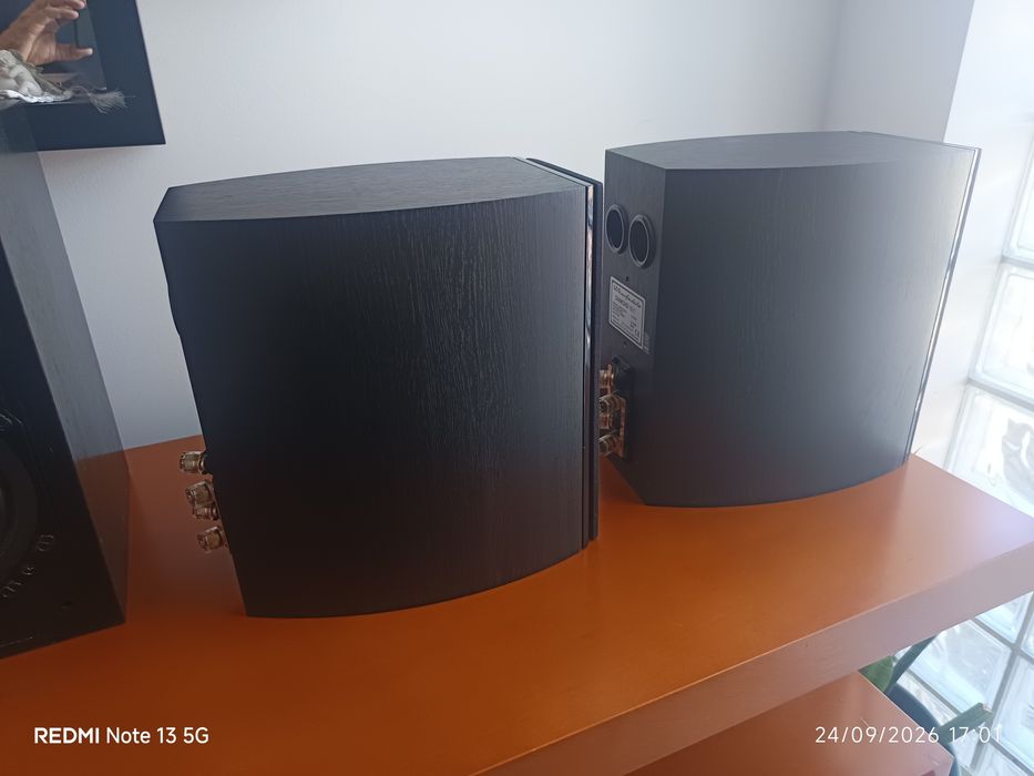 Wharfedale Diamond 10.1