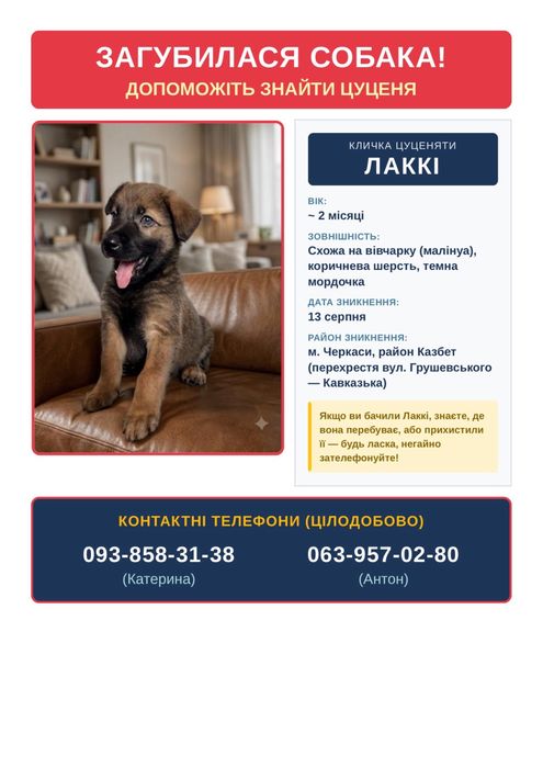 Шукаємо цуценя, Імʼя Лаккі, вік 2 місяці