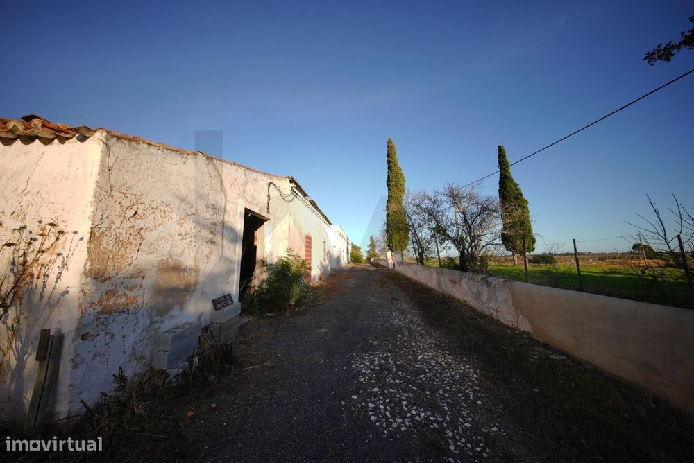 Oportunidade Única: Quinta Centenária para Recuperar em Localização Pr